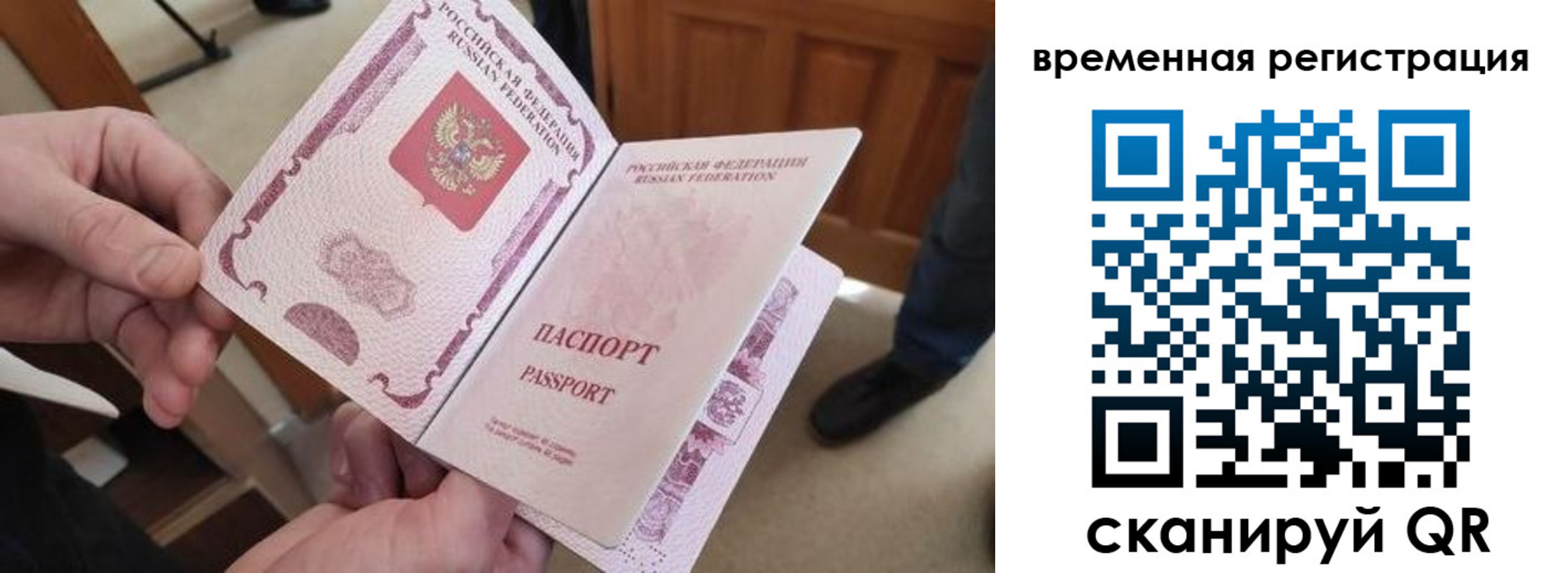 временная регистрация поиск в Ленинградской области