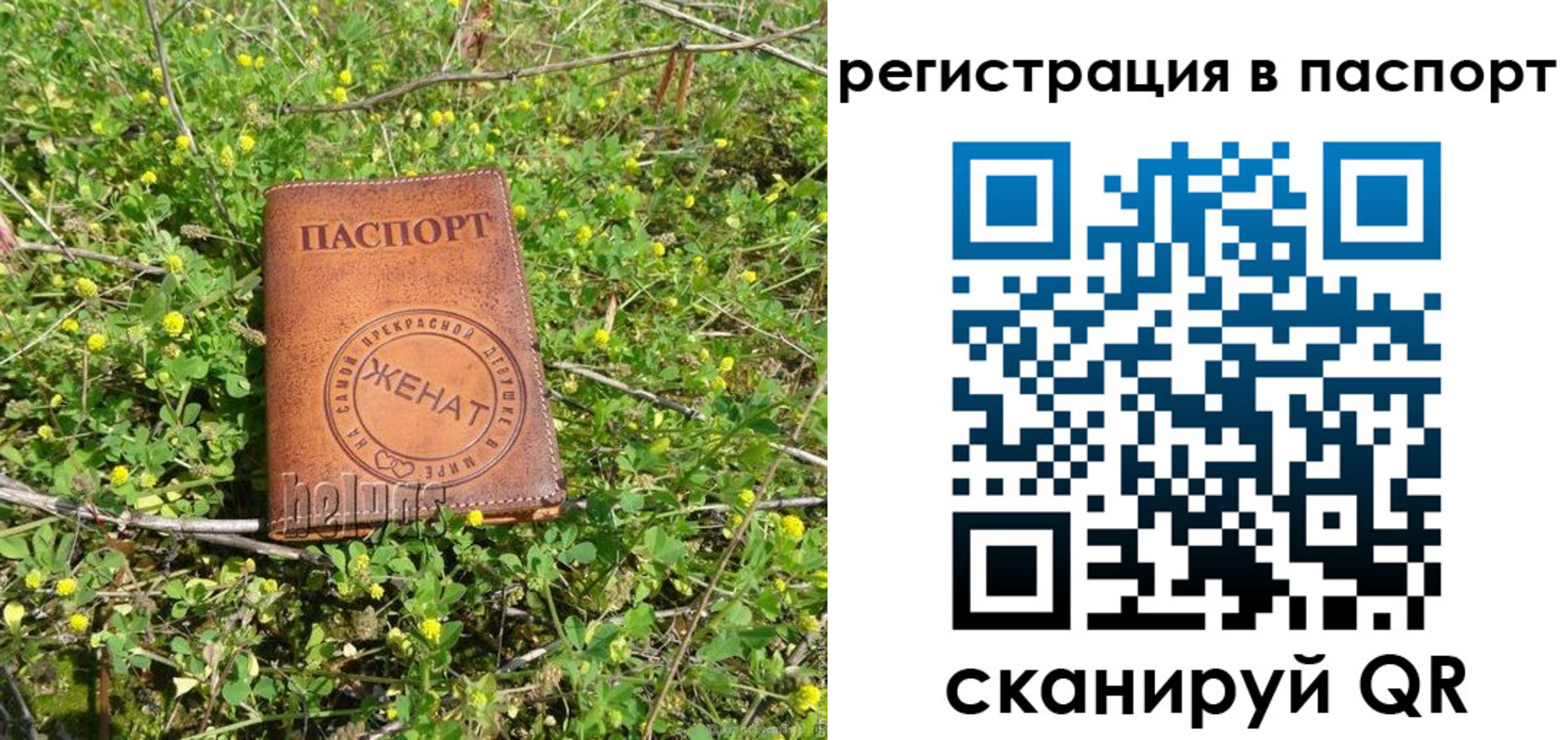 прописка законно в Ленинградской области