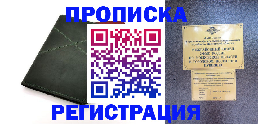 прописка в квартире в Ленинградской области